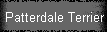 Patterdale Terrier