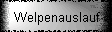 Welpenauslauf