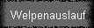 Welpenauslauf
